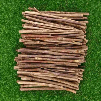 Stickswood Meserii Log Diy Meșteșug Crengi De Crafting Din Lemn De Arbore De Driftwood Ceai De Cimișir Piese Stick Recuzita Foto Mesteacan Consumabile Busteni