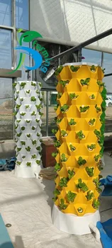 Hidroponice turn gradina agricole Noi cu efect de seră în interior ananas sistemele verticale Stil Modern Floare