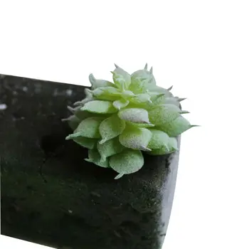 1 buc Plastice Artificiale, Plante Suculente Simulare Îngheț Lotus Cacus Mini, Bucă P15F