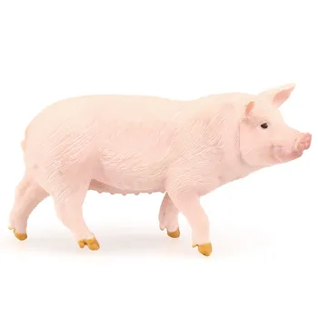 Animale domestice Porcul Cognitive Model de Plastic de Artizanat Instrument de Predare Acasă Decorare Birou Jucărie cadou A0444